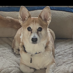 Fundraising Page: Samsung TV Prize Drawing